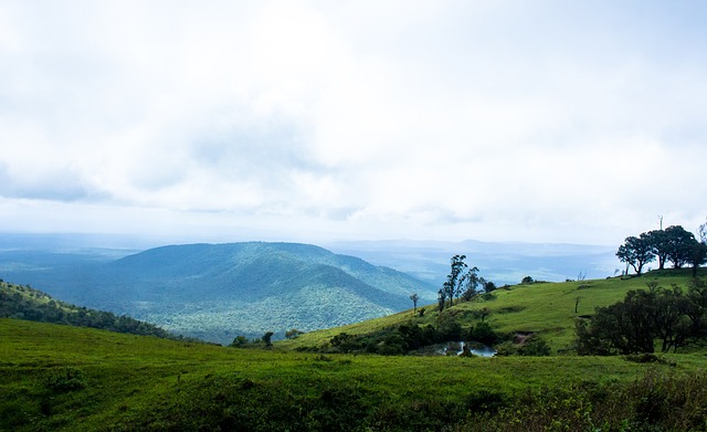 早报：内讧？卖个破绽罢了！